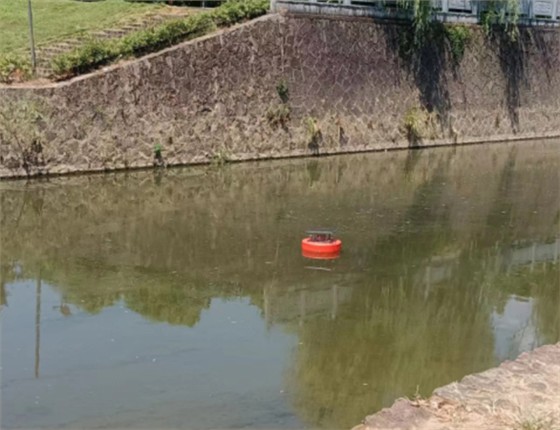 浙江省江山市贺村镇河道水质监测