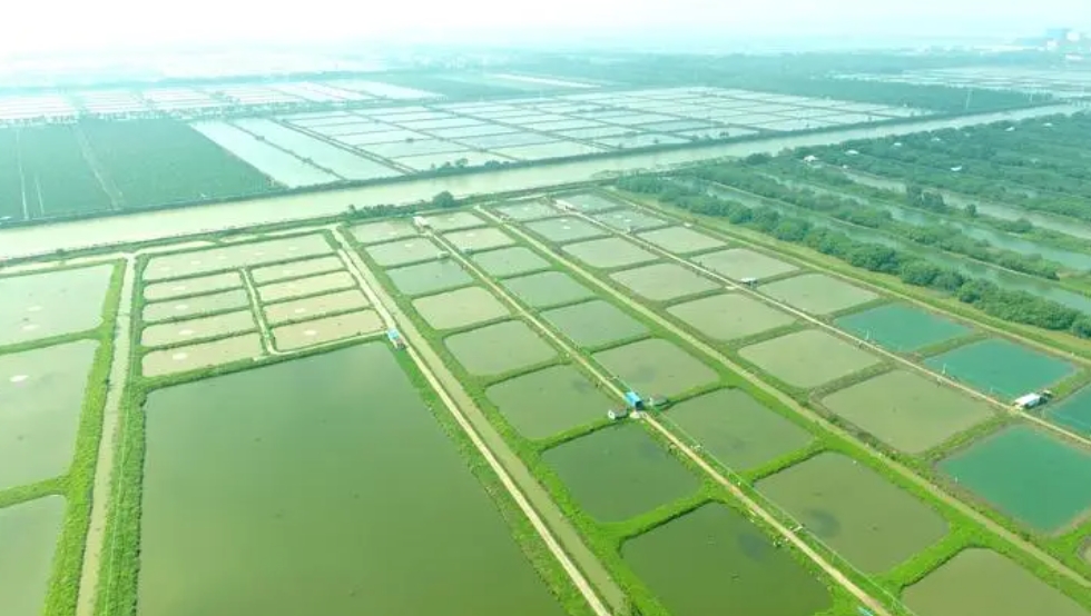 现代化养殖，怎样进行水质在线监测